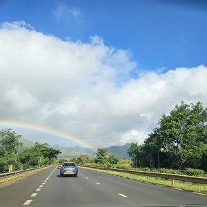 Driving Tours